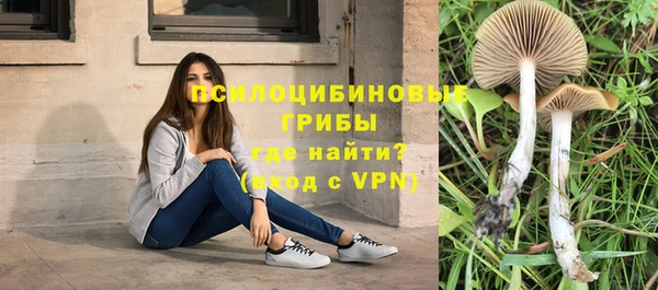 соль курить ск Алексин